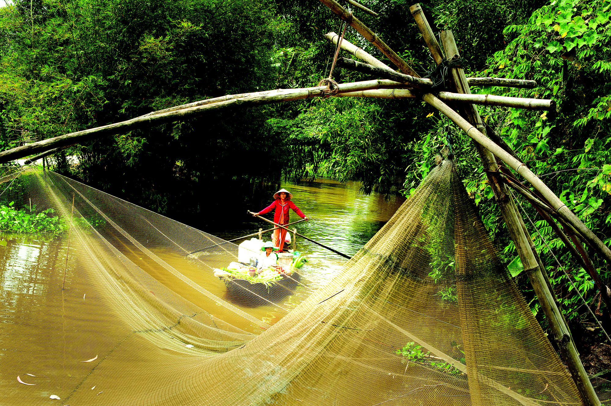 Tâm thức nhà quê