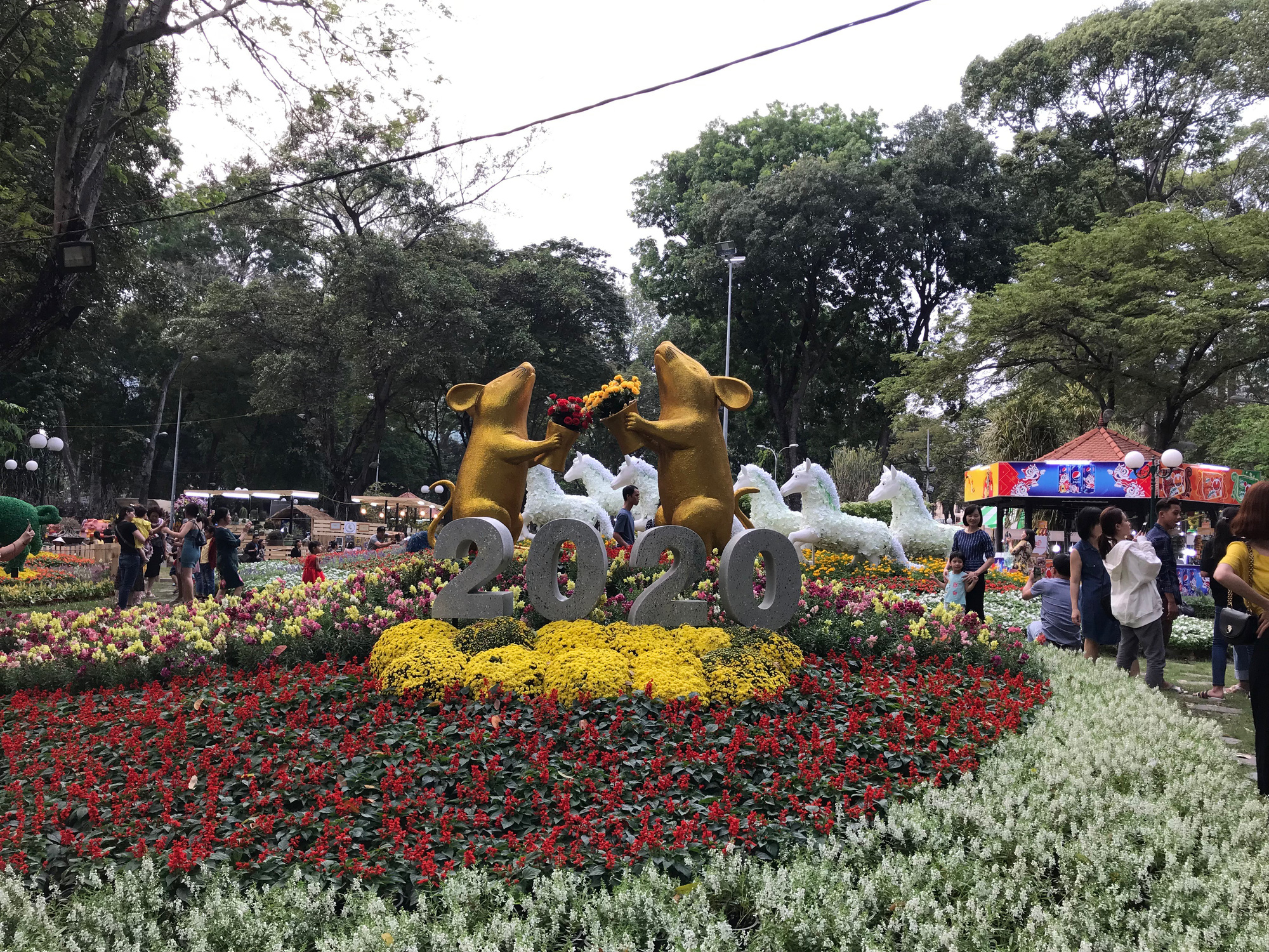 Rộn ràng Hội Hoa Xuân TP HCM - Ảnh 2.