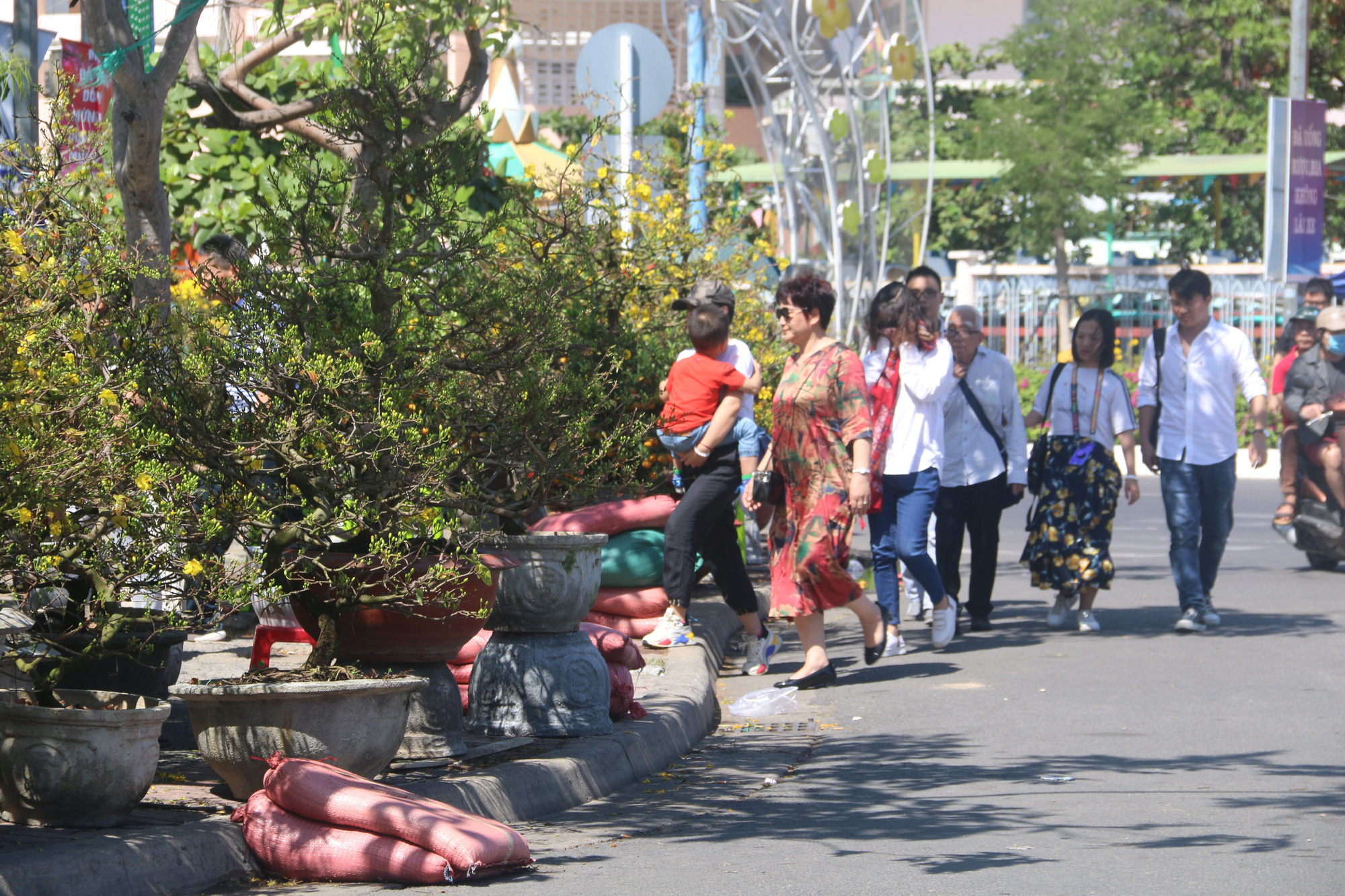 Ngắm sắc xu&acirc;n về tr&ecirc;n phố biển Nha Trang - Ảnh 1.