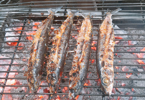 Nhớ con cá chuồn biển Rạng!