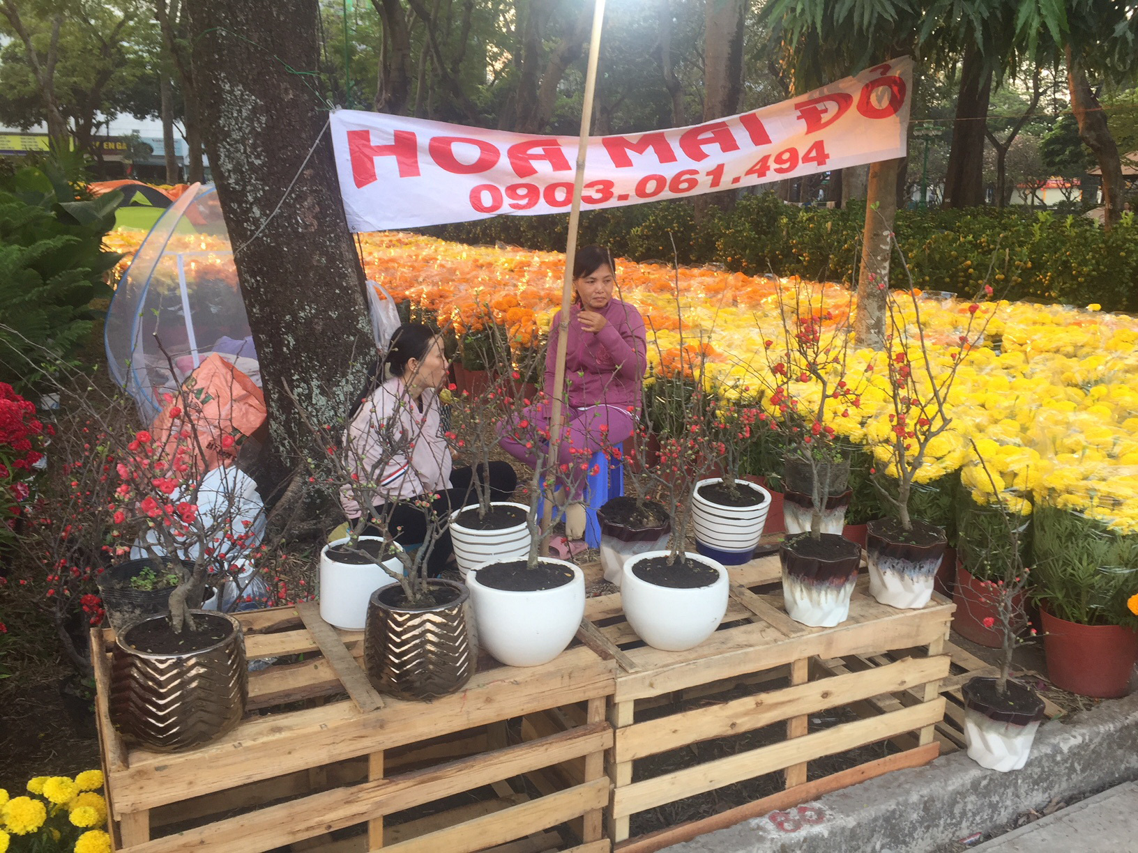 Ngỡ ng&agrave;ng với nhiều loại hoa kiểng, tr&aacute;i độc lạ dịp Tết - Ảnh 2.