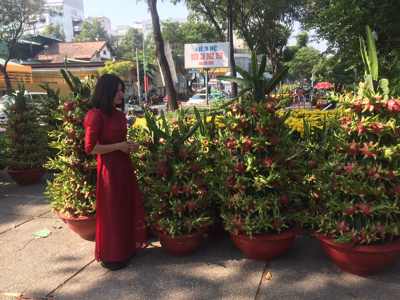 Ngỡ ng&agrave;ng với nhiều loại hoa kiểng, tr&aacute;i độc lạ dịp Tết - Ảnh 15.