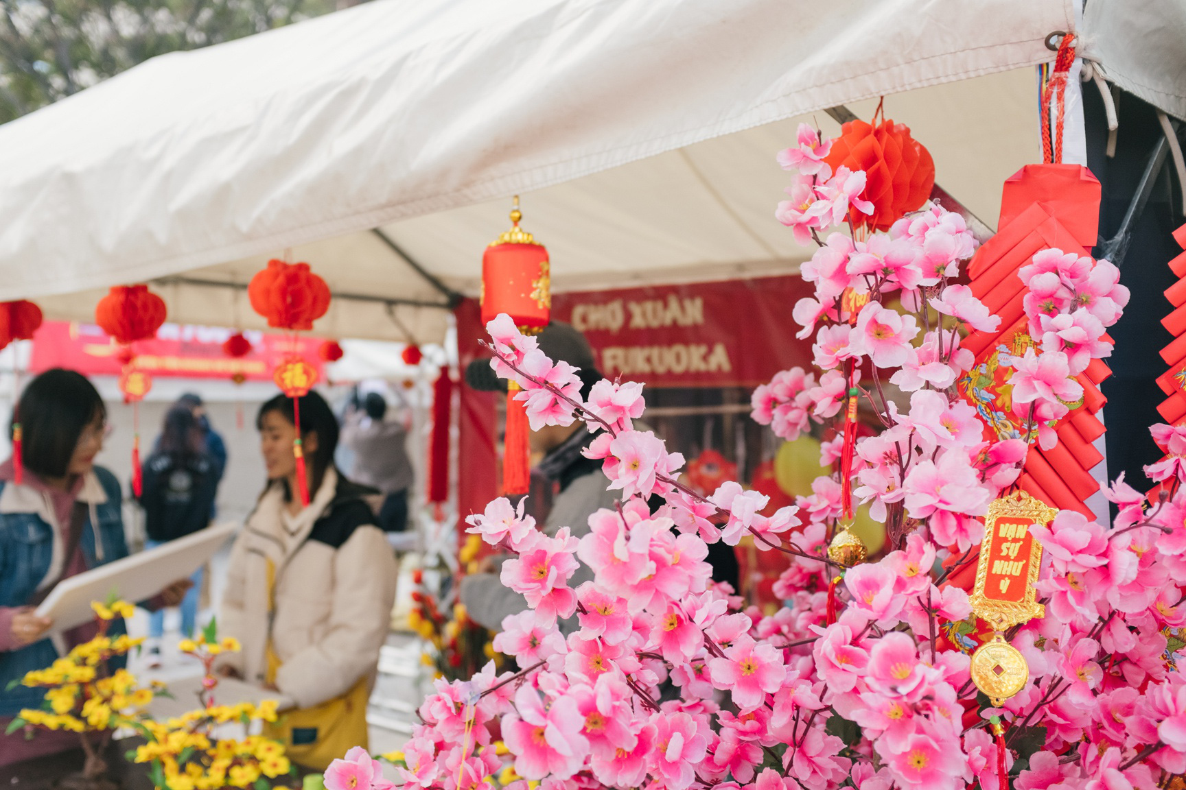 Th&agrave;nh phố ở Nhật Bản rộn r&agrave;ng đ&oacute;n Tết cổ truyền Việt Nam - Ảnh 1.