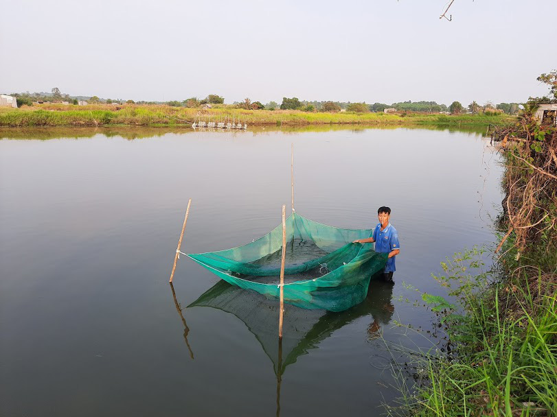 L&agrave;ng t&ocirc;m tr&ecirc;n n&uacute;i đ&aacute; nhộn nhịp ng&agrave;y cận Tết - Ảnh 1.
