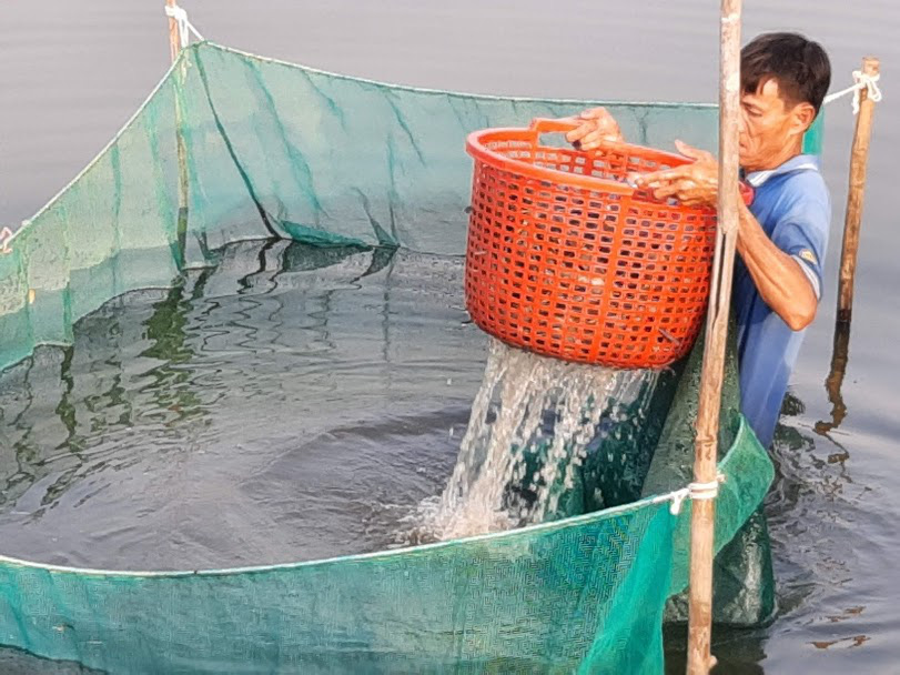 L&agrave;ng t&ocirc;m tr&ecirc;n n&uacute;i đ&aacute; nhộn nhịp ng&agrave;y cận Tết - Ảnh 2.