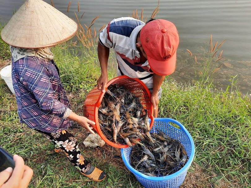L&agrave;ng t&ocirc;m tr&ecirc;n n&uacute;i đ&aacute; nhộn nhịp ng&agrave;y cận Tết - Ảnh 3.