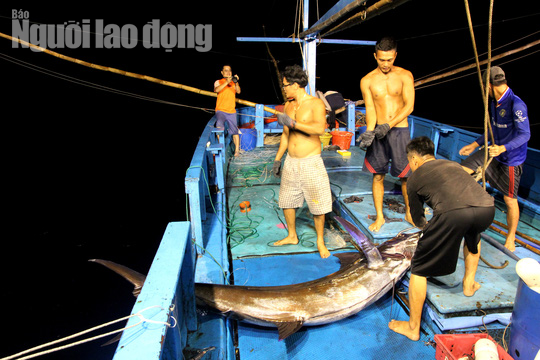 Những ngư d&acirc;n đ&oacute;n Tết giữa tr&ugrave;ng khơi - Ảnh 8.