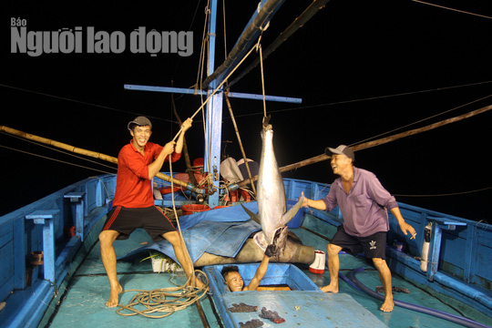 Những ngư d&acirc;n đ&oacute;n Tết giữa tr&ugrave;ng khơi - Ảnh 9.