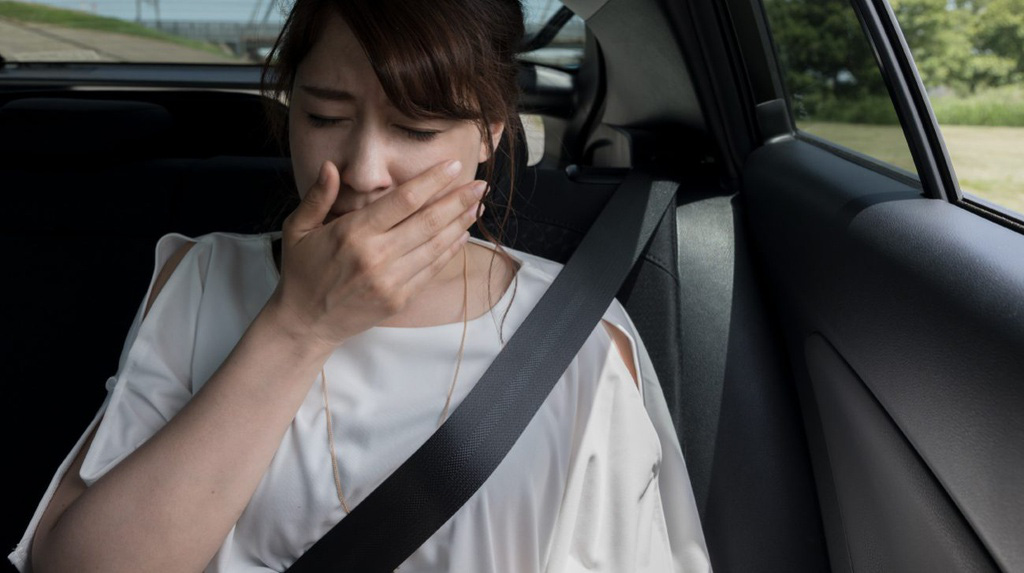Say tàu xe và những biện pháp ngăn ngừa đơn giản - Ảnh 3.
