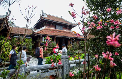 Chiêm ngưỡng hoa đào chuông độc đáo trên đỉnh Bà Nà - Ảnh 6.