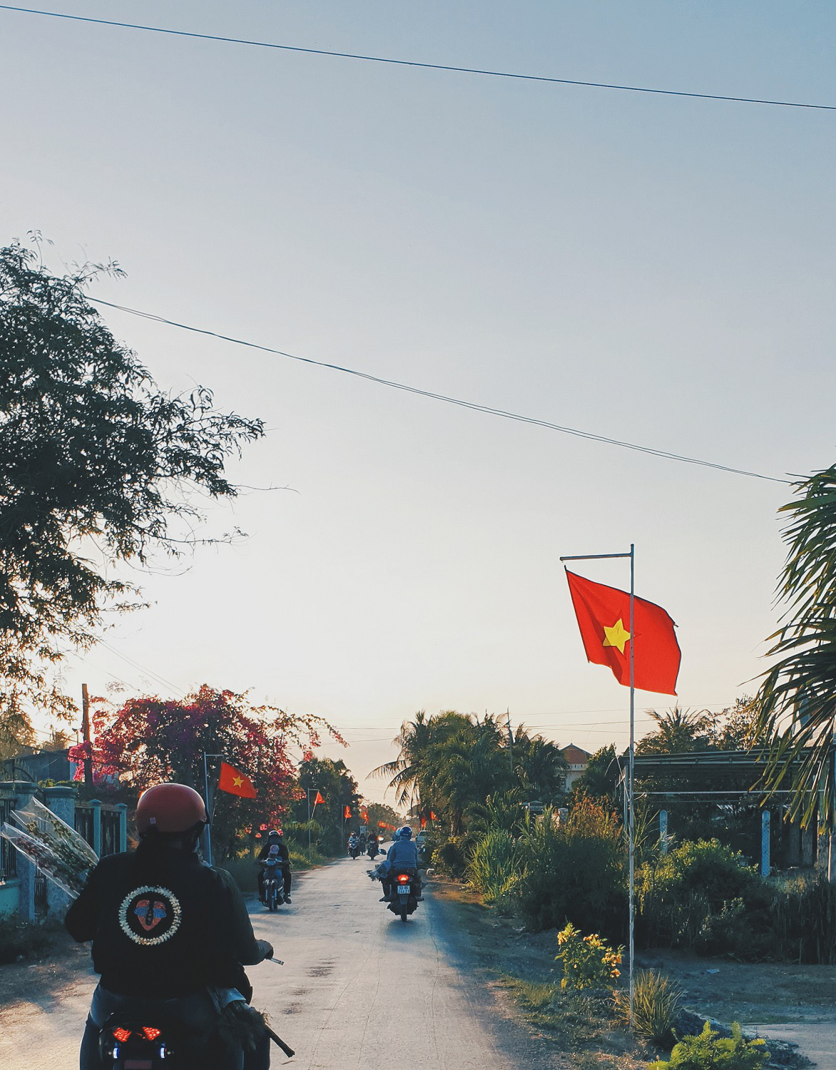 Úm ba la..., những chú chuột trên Đường hoa Xuân Gò Công biến hình - Ảnh 13.
