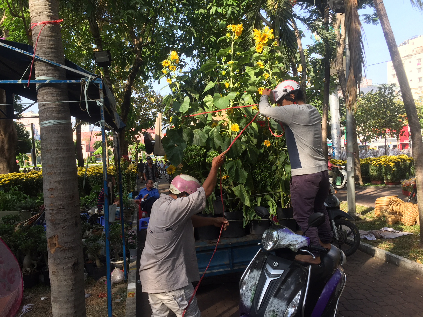 Chen nhau mua hoa giảm gi&aacute; s&aacute;ng 30 Tết, h&agrave;ng chục gốc đ&agrave;o xứ Bắc bị bỏ lại ở chợ hoa - Ảnh 8.