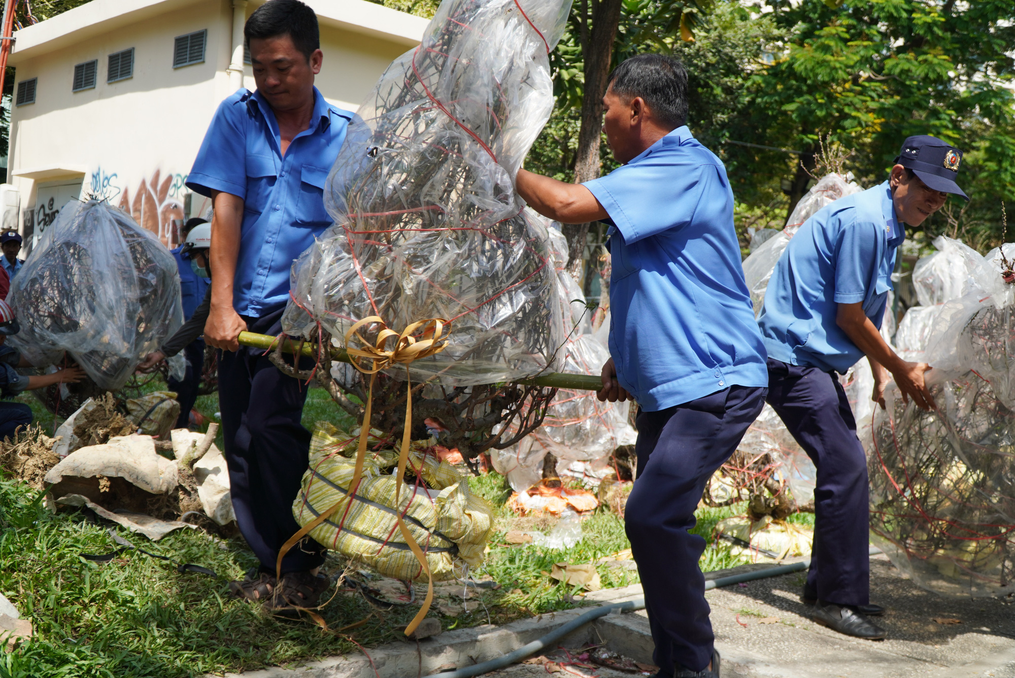 Bất ngờ chợ hoa chiều 30 Tết - Ảnh 10.