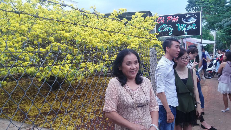 D&ograve;ng người lại bất ngờ đổ về thị trấn Gia Ray xem c&acirc;y mai cổ bật dậy - Ảnh 4.