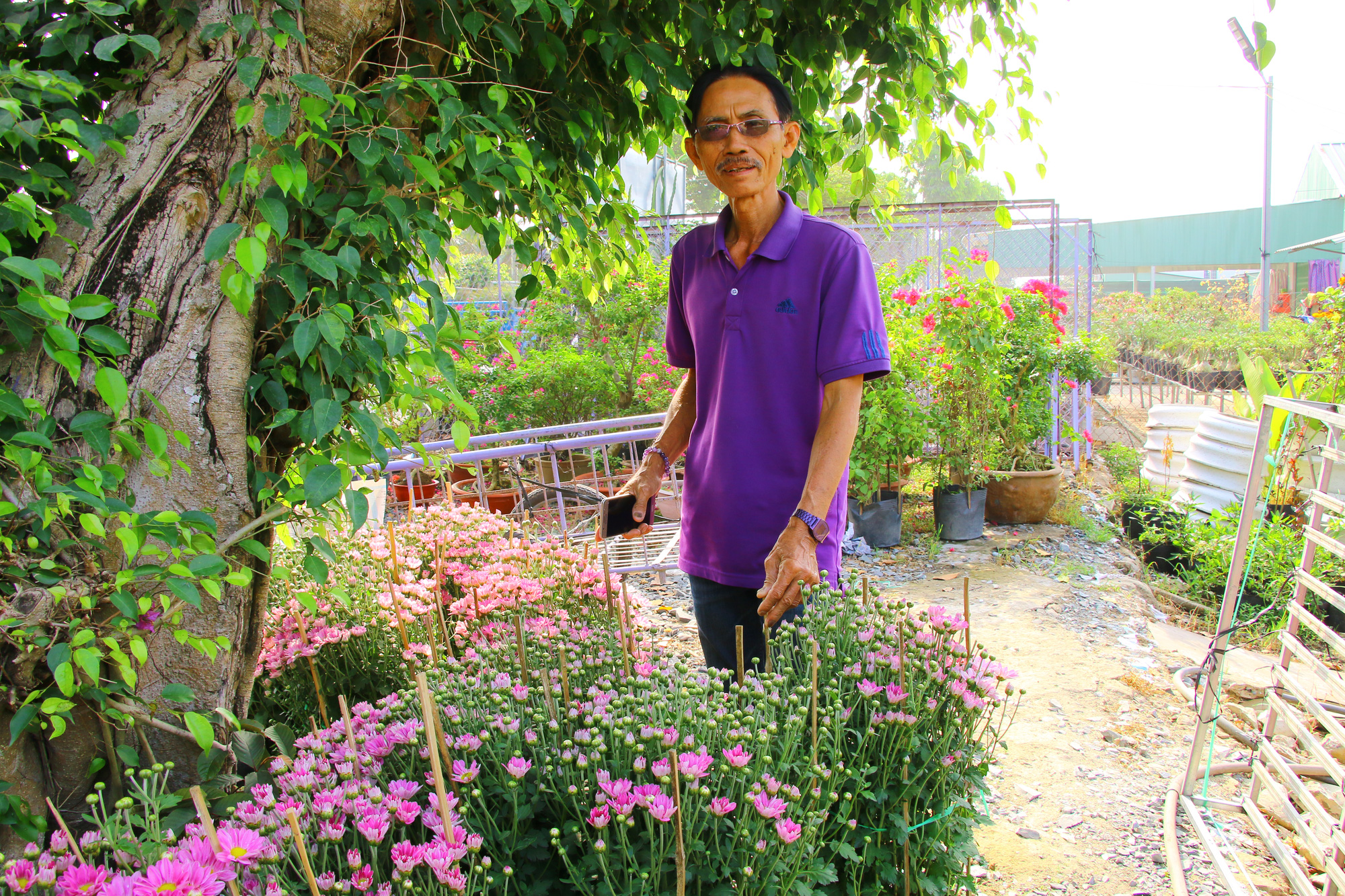 Đầu năm, gh&eacute; thăm nh&agrave; l&atilde;o n&ocirc;ng c&oacute; sở th&iacute;ch m&agrave;u t&iacute;m &ldquo;qu&aacute;i lạ&rdquo;! - Ảnh 7.