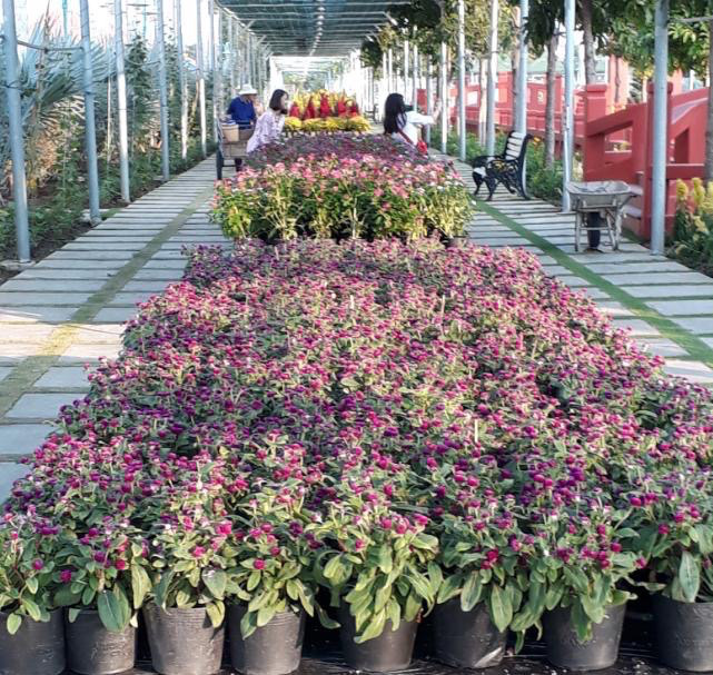 Độc đáo làng bích họa ở Khu Du lịch Cáp treo Núi Sam - Ảnh 20.