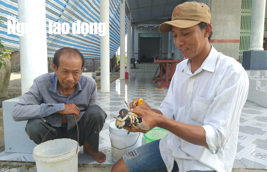 Lý do cua biển ngon nhất miền Tây trúng giá dịp Tết Canh Tý