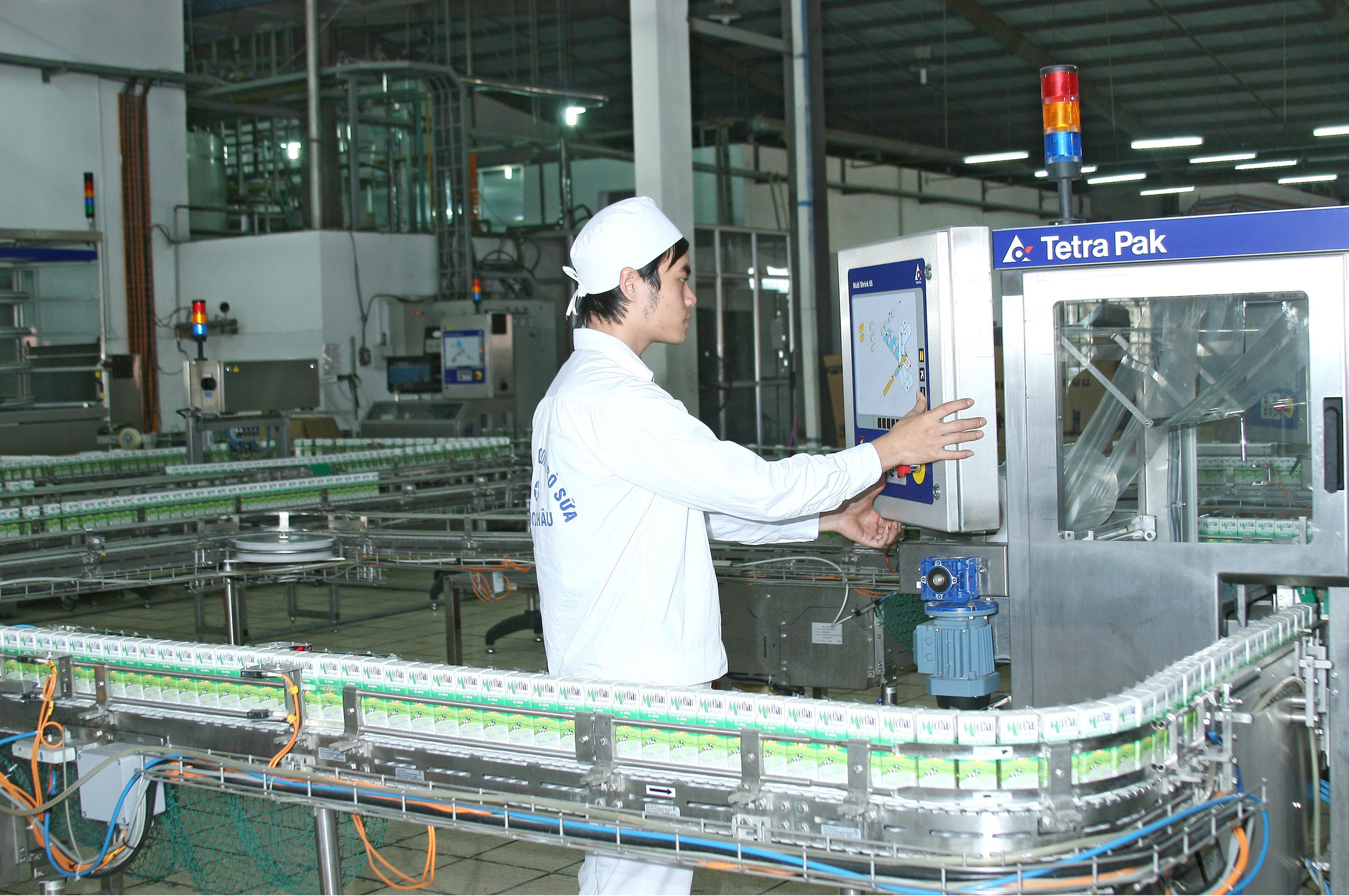 Nhân sự Vinamilk tham gia quản lý Bò sữa Mộc Châu và GTNfoods