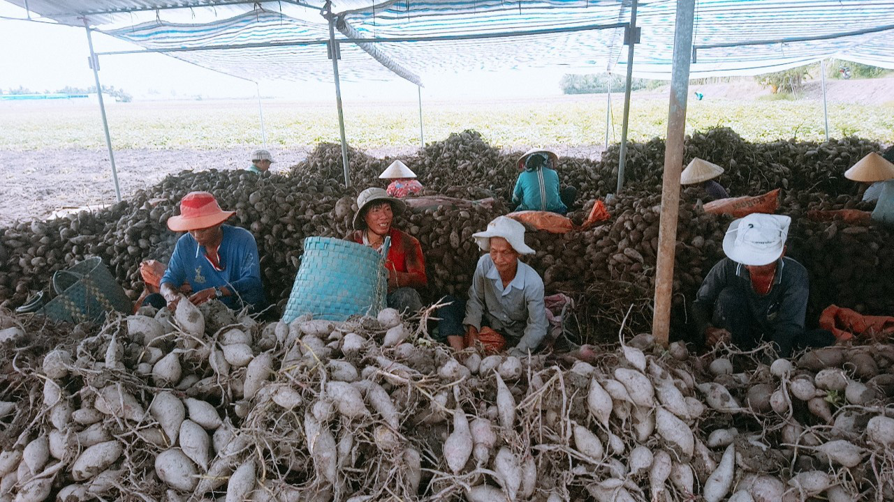 Nông sản Việt "mất đường" sang Trung Quốc vì virus corona