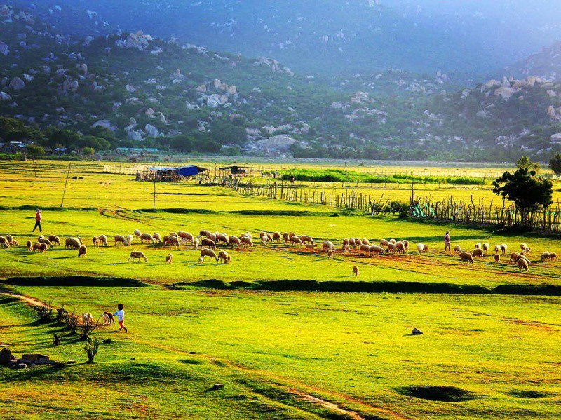 “Đặc sản” du lịch di sản ở Ninh Thuận - Ảnh 2.
