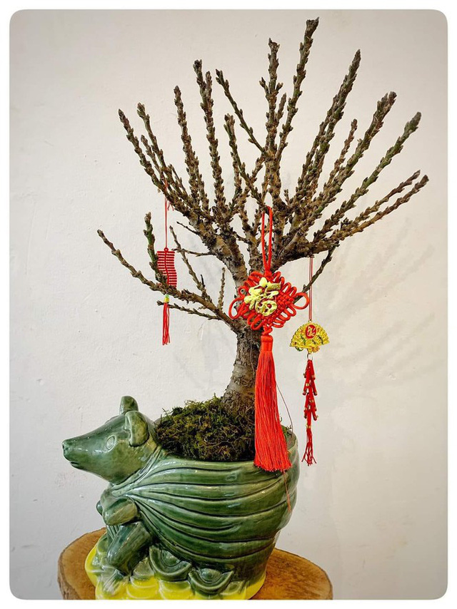 Hoa lạ từ Trung Quốc h&uacute;t kh&aacute;ch chơi trước Tết cả th&aacute;ng - Ảnh 2.