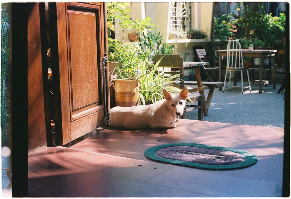 Ghim ngay 5 homestay gi&aacute; dưới 500.000 đồng ở Huế dịp Tết - Ảnh 8.