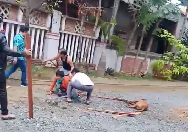 Kinh hoàng chó Pitbull tuột xích, hung tợn cắn người đi đường nát tay