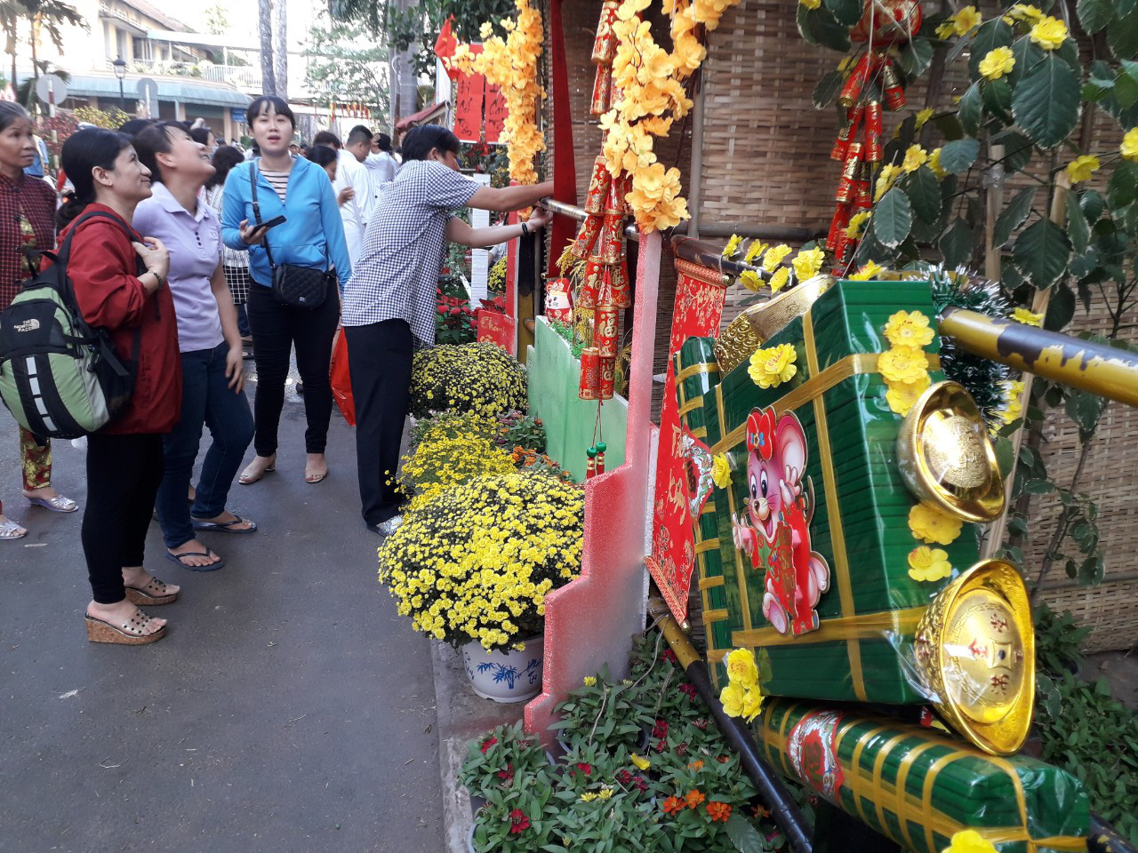 Có một đường hoa đặc biệt trong Bệnh viện Chợ Rẫy - Ảnh 2.