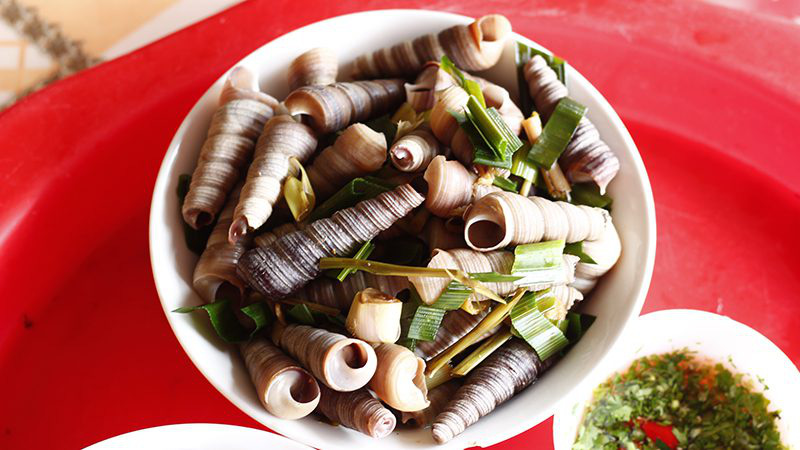 Tr&uacute;ng độc nghi do ăn ốc biển, 1 người chết, 7 người nguy kịch - Ảnh 1.