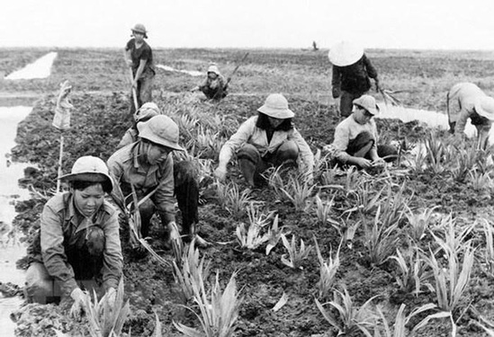 Cuộc thi viết “Từ trong ký ức”: Thời tôi tập làm cách mạng