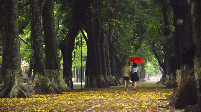 Mưa mùa thu