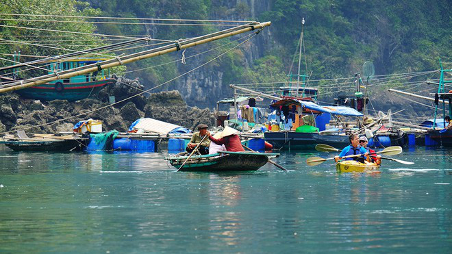 M&ugrave;a thu v&agrave;ng khua m&aacute;i ch&egrave;o kayak tr&ecirc;n vịnh Hạ Long - Ảnh 4.