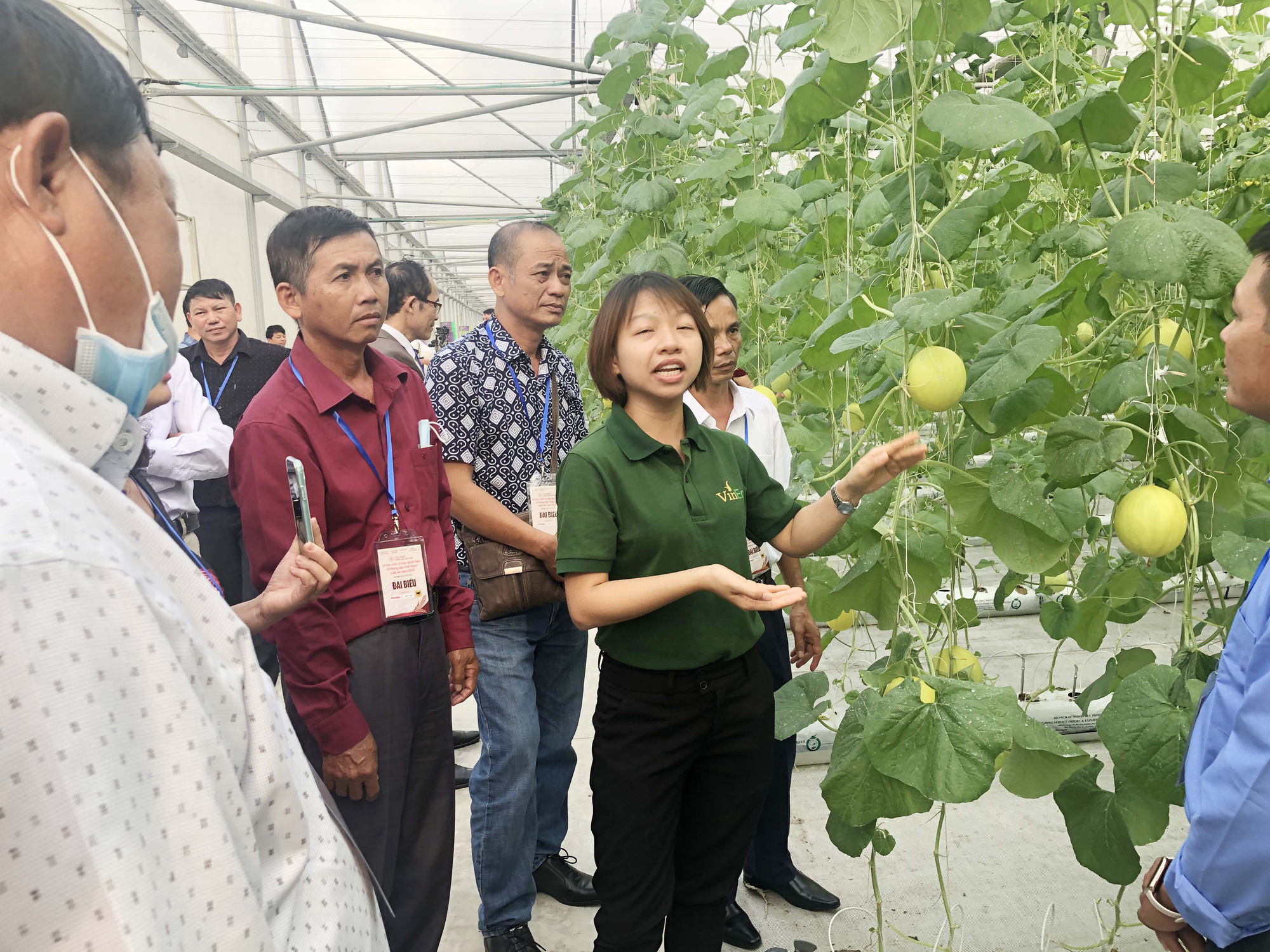 Bình Điền đồng hành cùng nông dân Việt Nam - Ảnh 1.