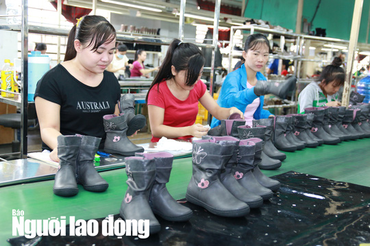 Người lao động có quyền đơn phương nghỉ việc trong trường hợp nào?