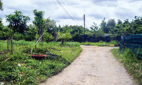 “Săn” đất... vướng quy hoạch - Ảnh 1.