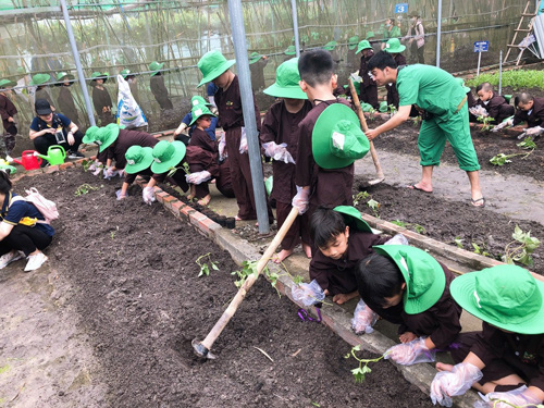 TP HCM ra mắt "Chuyến xe trải nghiệm" cho học sinh