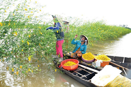 Xa rồi... mùa nước nổi - Ảnh 4.