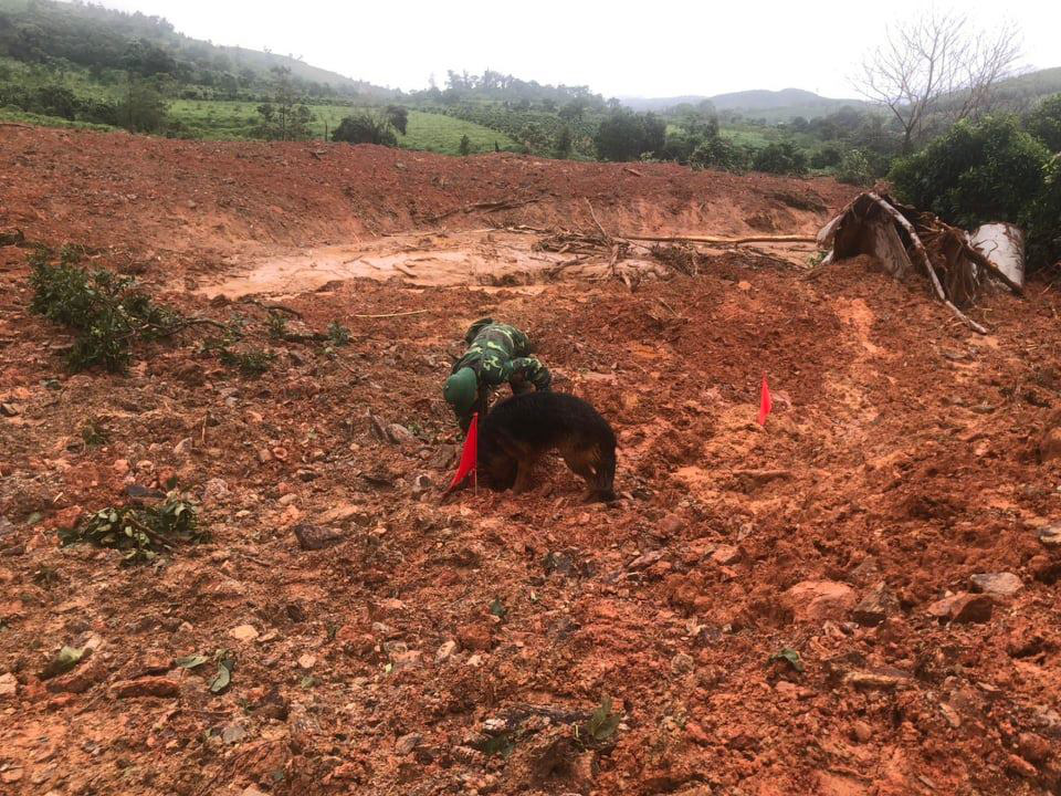 T&igrave;m thấy 3 thi thể cuối c&ugrave;ng vụ 22 c&aacute;n bộ, chiến sĩ bị sạt lở n&uacute;i v&ugrave;i lấp ở Quảng Trị - Ảnh 1.