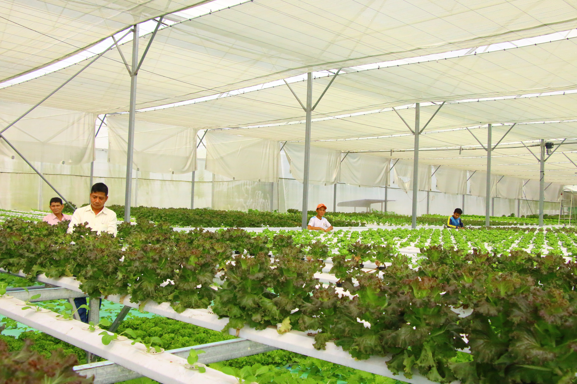 Đồng Th&aacute;p mạnh mẽ chuyển m&igrave;nh - Ảnh 5.