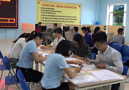 Thị trường lao động trong nước đang phục hồi