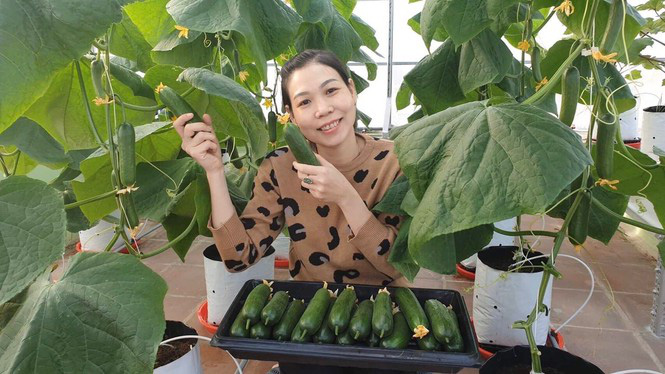 Gia đ&igrave;nh trẻ biến s&acirc;n thượng trống th&agrave;nh &lsquo;khu vườn tr&ecirc;n m&acirc;y&rsquo; - Ảnh 2.
