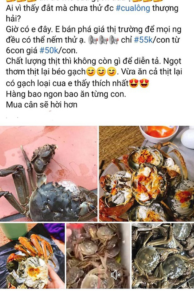 Loại cua &ldquo;nh&agrave; gi&agrave;u&rdquo; b&aacute;n tr&agrave;n lan chỉ từ 45.000 đồng/con, tiểu thương tiết lộ sự thật - Ảnh 2.