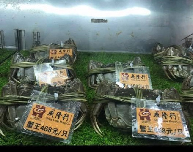 Loại cua &ldquo;nh&agrave; gi&agrave;u&rdquo; b&aacute;n tr&agrave;n lan chỉ từ 45.000 đồng/con, tiểu thương tiết lộ sự thật - Ảnh 3.