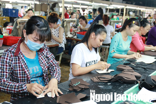 Chính sách tiền lương 2021 của cán bộ, công chức, viên chức, người lao động