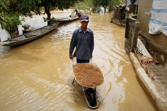Không để dân vùng lũ bị đói rét