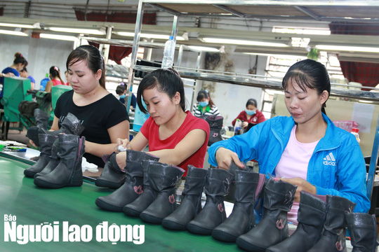 5 trường hợp người lao động được nhận BHXH một lần - Ảnh 2.