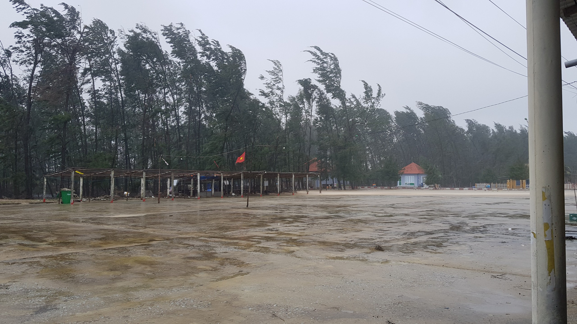 Bão số 9: Thừa Thiên - Huế có gió rất mạnh, cây đổ - Ảnh 2.
