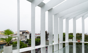 Ng&ocirc;i nh&agrave; như lồng chim giữa phố - Ảnh 14.