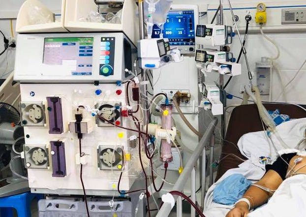 Người đàn ông làm việc ở trang trại lợn nhiễm "vi khuẩn ăn thịt người" Whitmore
