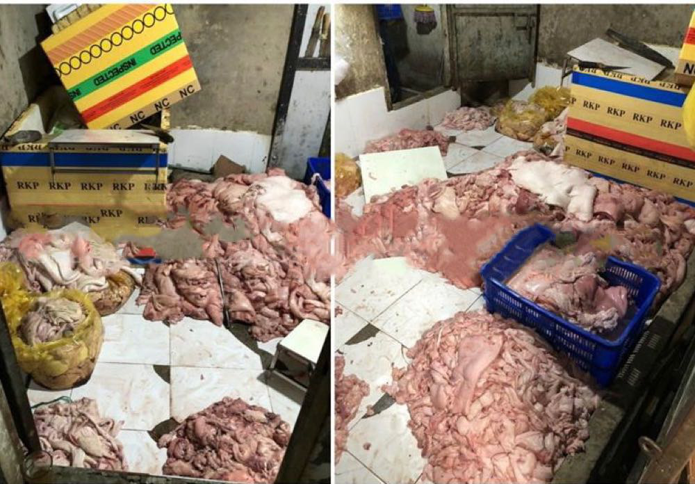 Đồng Nai: Ngăn chặn gần 1,5 tấn da và mỡ heo thối đưa đi tiêu thụ ở TP HCM